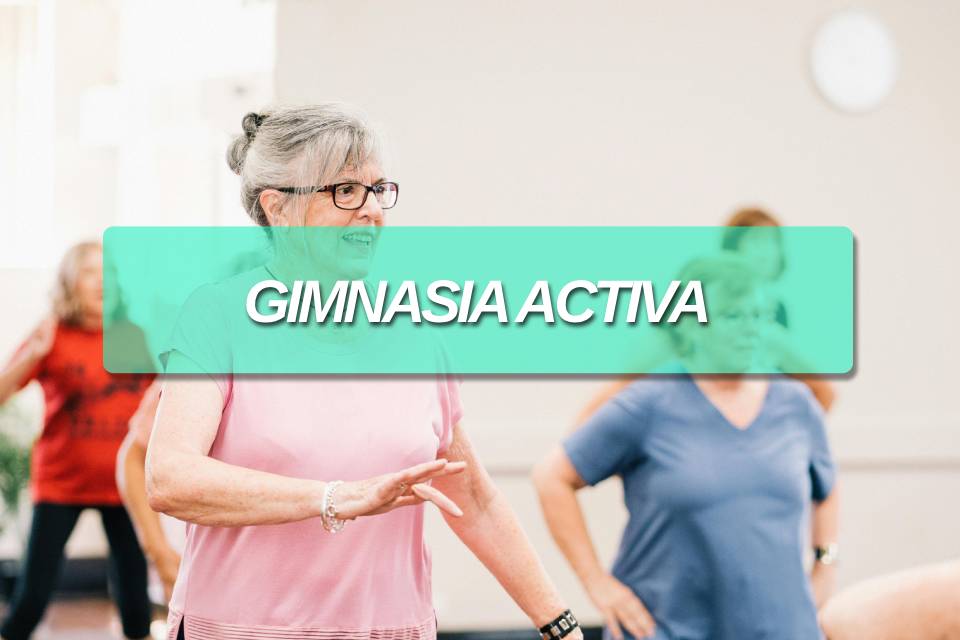 Gimnasio activa Oltzaleku